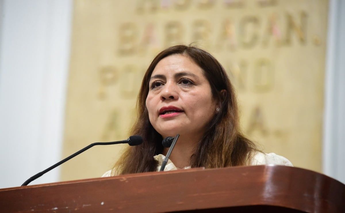 Diputadas-del-PVEM-proponen-que-refugios-de-la-CDMX-reciban-a-mujeres-violentadas-con-sus-mascotas