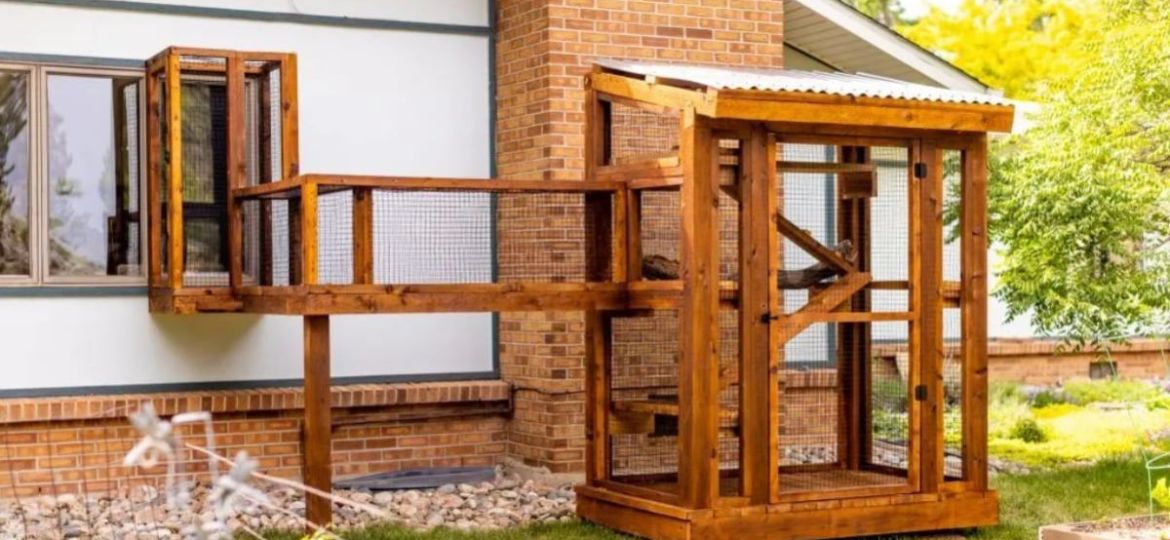 Catio-que-es-como-se-disena-y-sus-beneficios-para-los-gatos